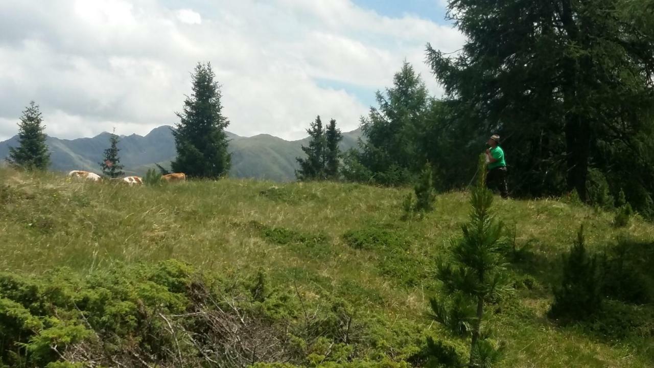 Gabershof Villa Sankt Jakob in Defereggen Dış mekan fotoğraf